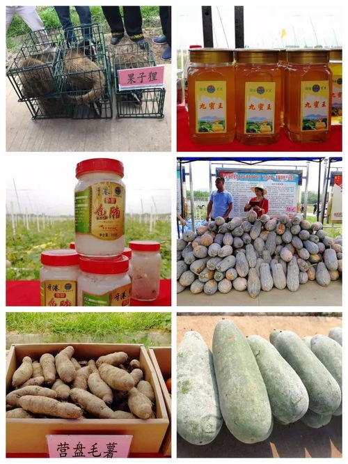 決勝2019 牙叉鎮(zhèn)農(nóng)副產(chǎn)品展銷會人氣旺盛，銷售額突破6.1萬元