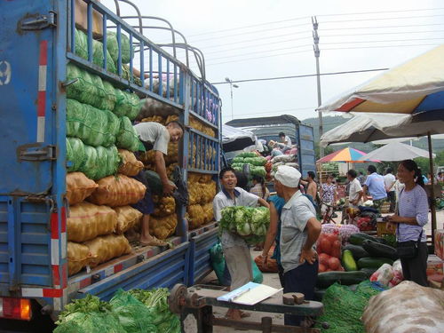 犍為南城農(nóng)副產(chǎn)品批發(fā)市場正式投入運營 暢通城鄉(xiāng)“菜籃子”供應鏈