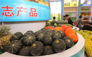 冬交會陵水展館 68種優(yōu)質特色農(nóng)副產(chǎn)品引關注，擦亮熱帶農(nóng)業(yè)名片