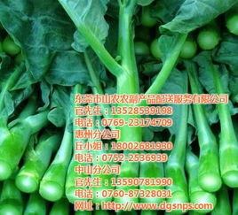 東莞膳食承包商服務與山農(nóng)農(nóng)副產(chǎn)品配送一體化解決方案及報價淺析