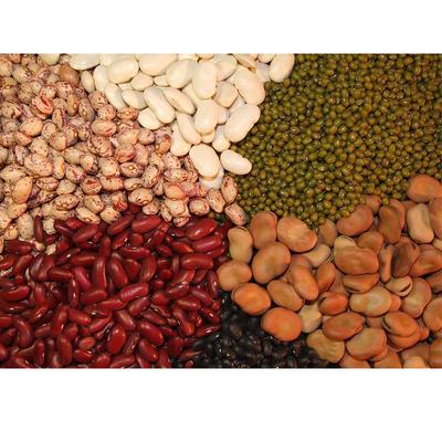 金弟農(nóng)副產(chǎn)品 打造綠色健康食品新標(biāo)桿